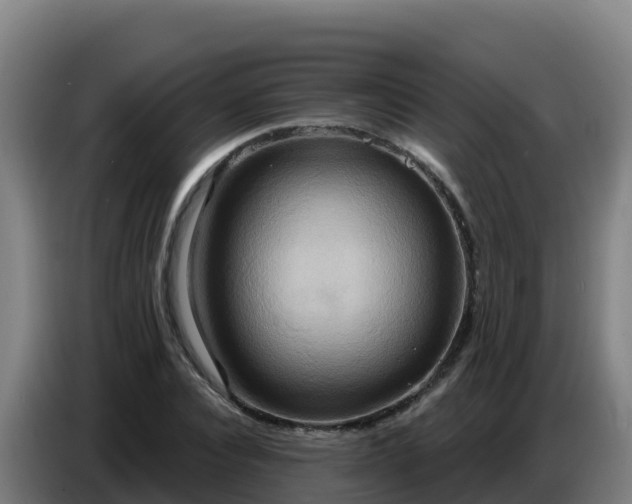 X0000086750928200704201722