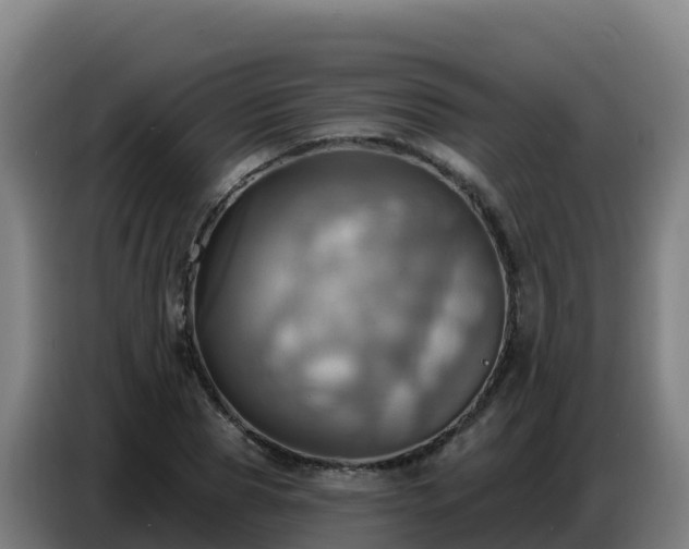 X0000086750929200704201722