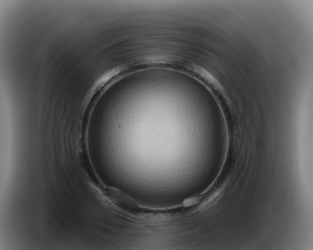 X0000086750930200704201722