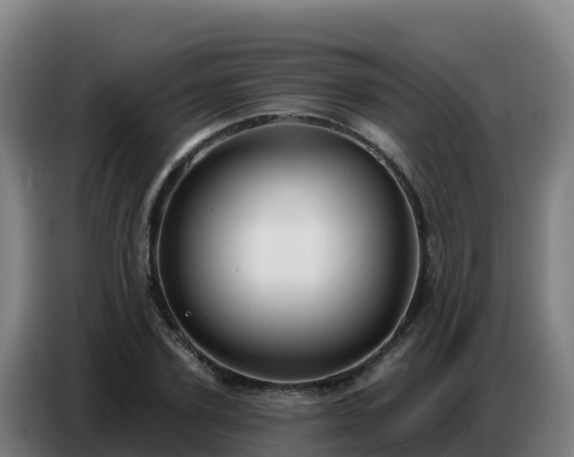 X0000086750931200704201722