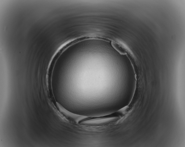 X0000086750932200704201722
