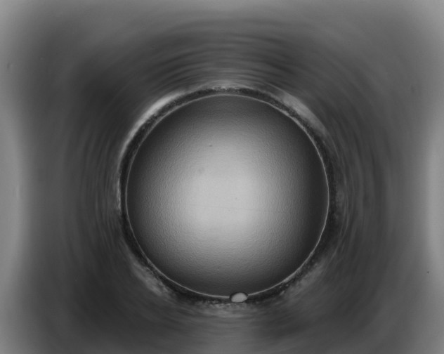 X0000086750934200704201722