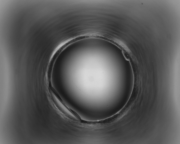 X0000086750936200704201722