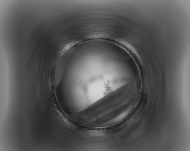 X0000086750937200704201722
