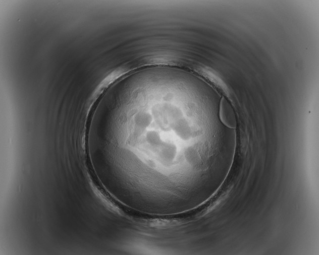 X0000086750938200704201722