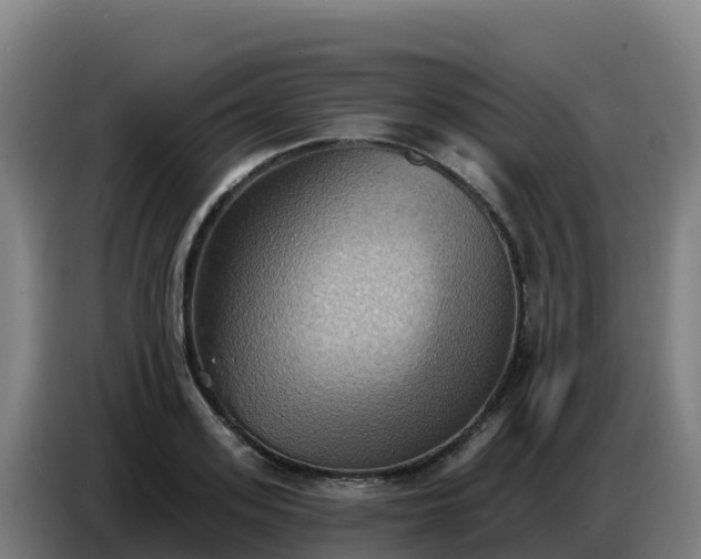 X0000086750939200704201722