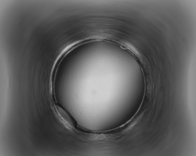 X0000086750940200704201722