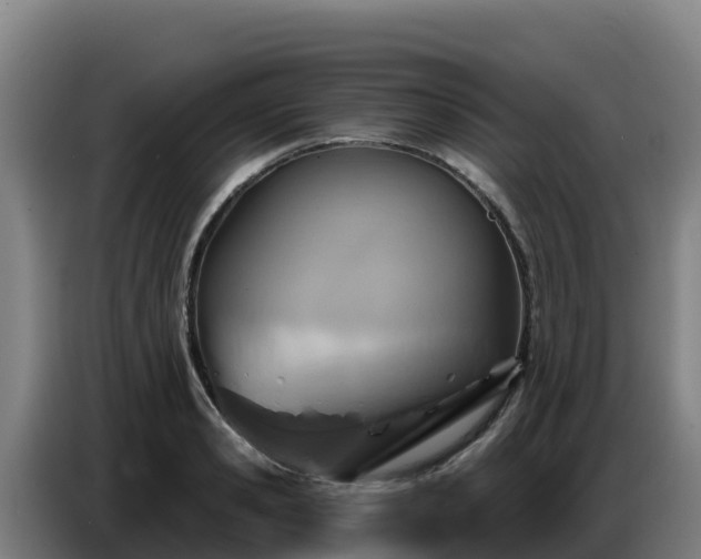 X0000086750941200704201722