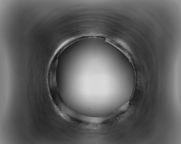 X0000086750942200704201722