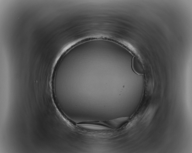 X0000086750943200704201722