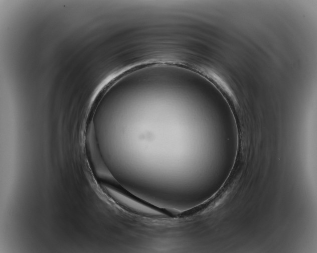 X0000086750944200704201722