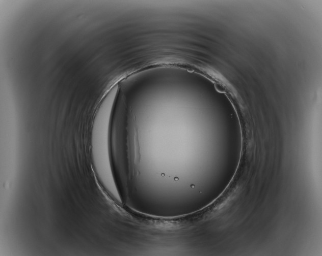 X0000086750945200704201722
