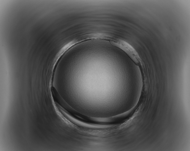 X0000086750946200704201722