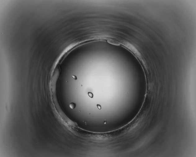 X0000086750947200704201722