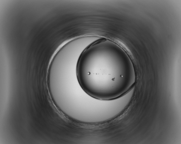 X0000086750948200704201722