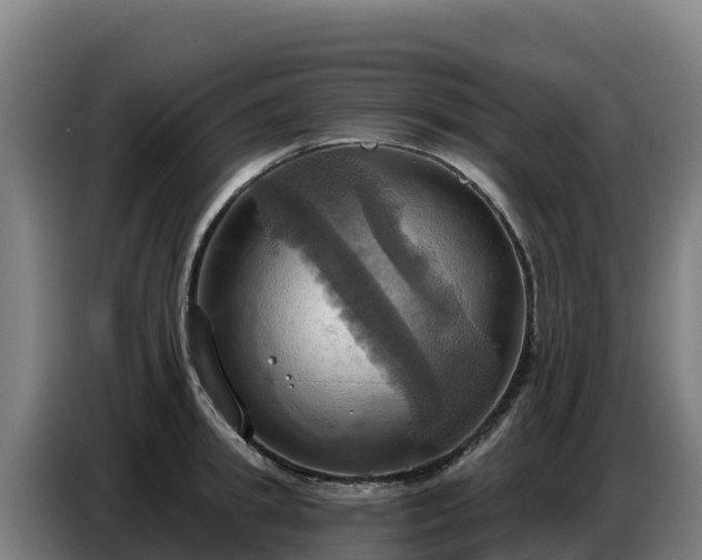 X0000086750949200704201722