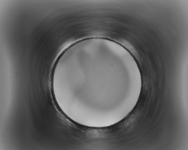X0000086750950200704201722