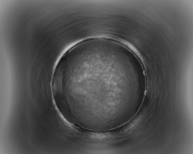 X0000086750951200704201722