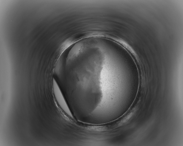 X0000086750953200704201723