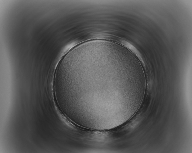 X0000086750954200704201723