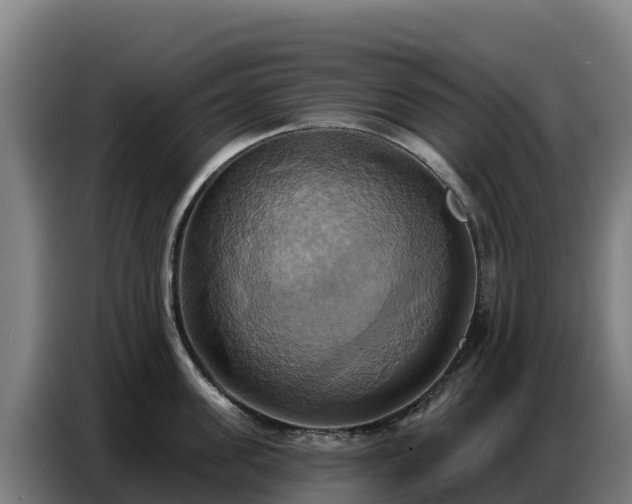 X0000086750955200704201723