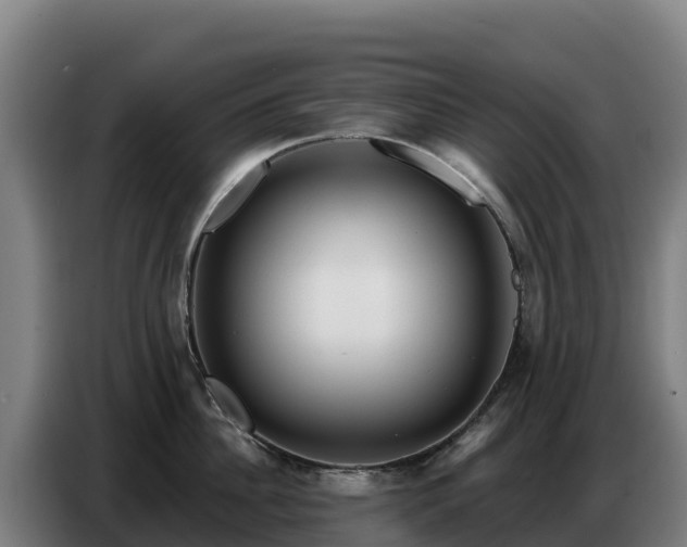 X0000086750956200704201723