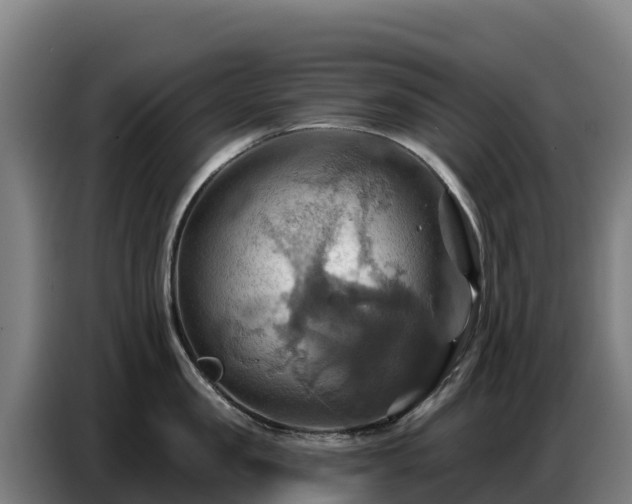 X0000086750957200704201723