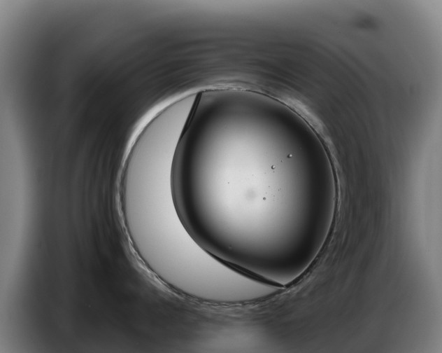 X0000086750960200704201723