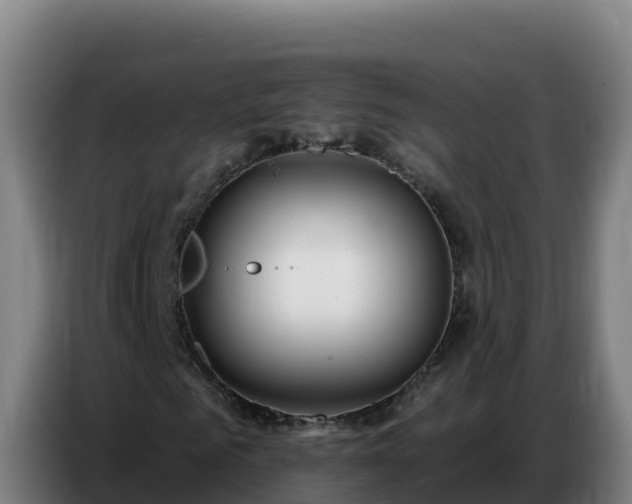 X0000086750961200704201722