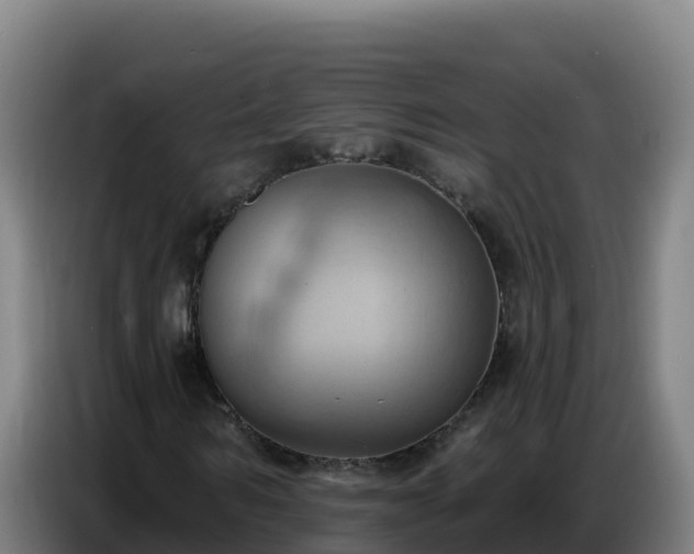 X0000086750962200704201722