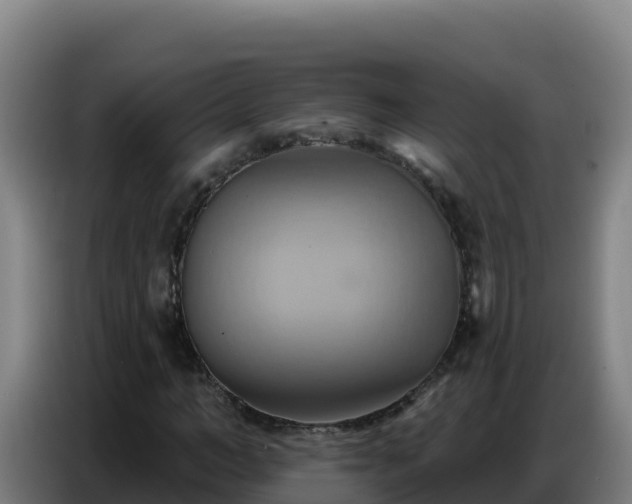 X0000086750966200704201722