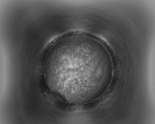 X0000086750967200704201722