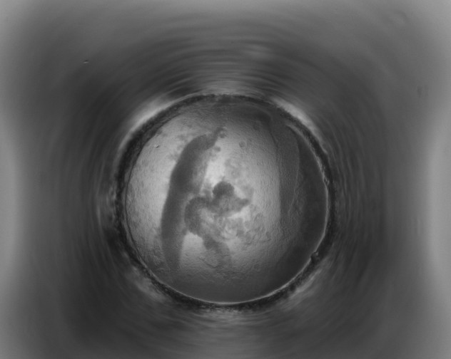 X0000086750971200704201722