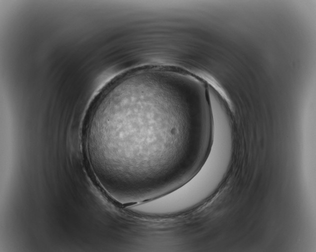 X0000086750972200704201722