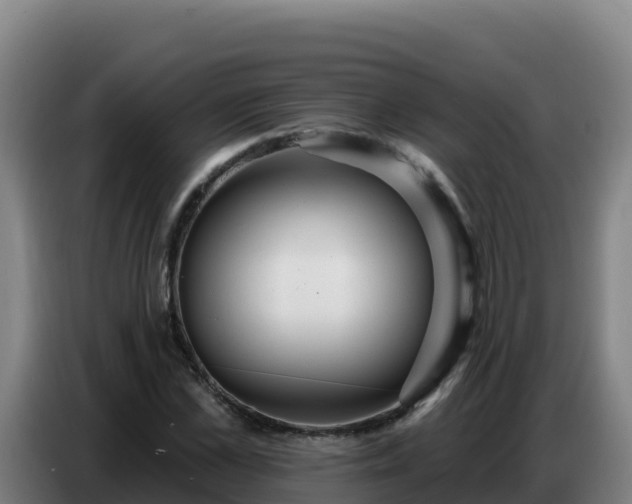 X0000086750973200704201722