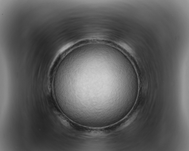 X0000086750974200704201722