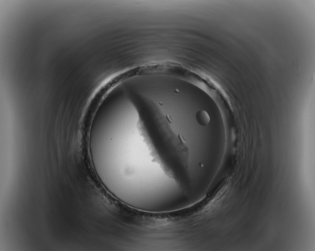 X0000086750975200704201722