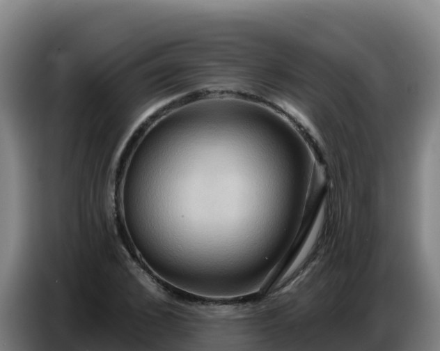X0000086750976200704201722