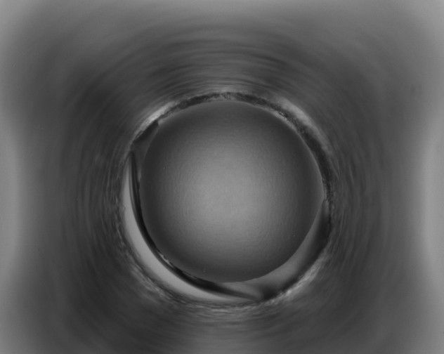 X0000086750977200704201722
