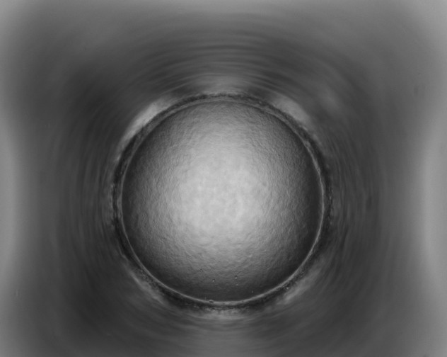 X0000086750978200704201722