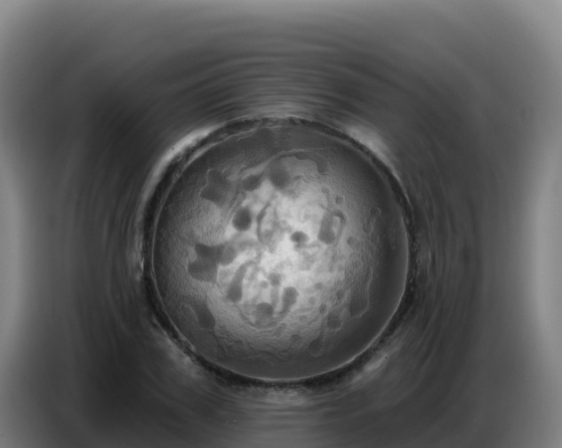X0000086750979200704201722