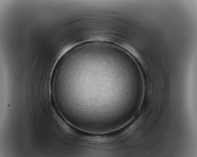 X0000086750980200704201722