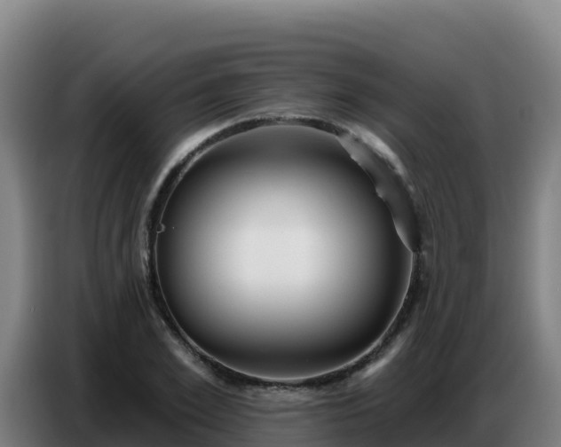 X0000086750981200704201722