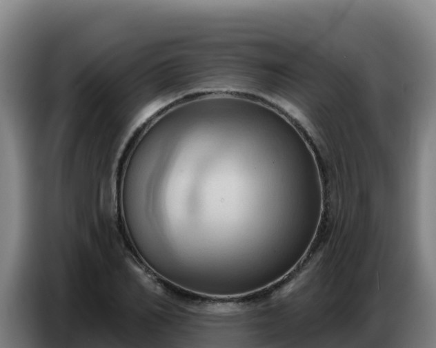 X0000086750982200704201722