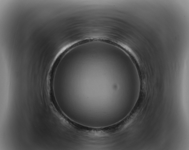 X0000086750983200704201722