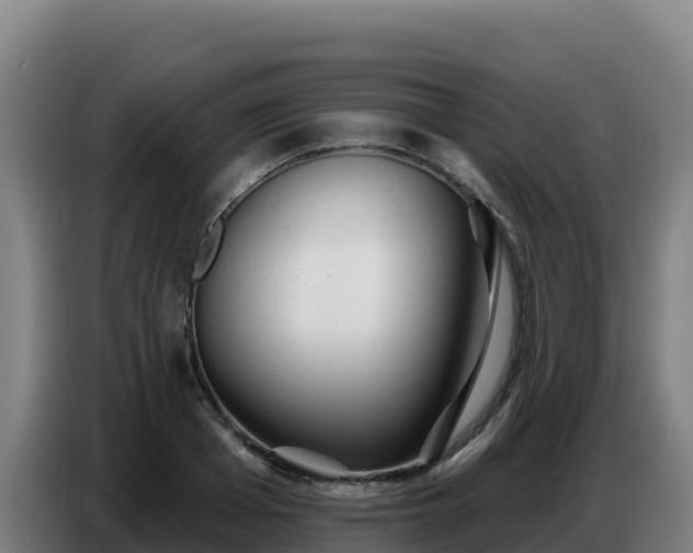 X0000086750985200704201722