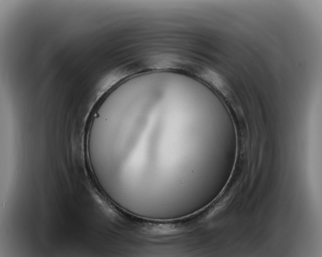 X0000086750986200704201722
