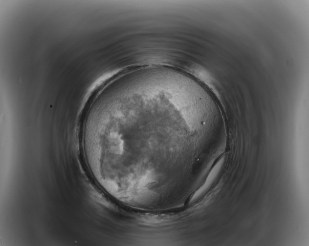 X0000086750987200704201722