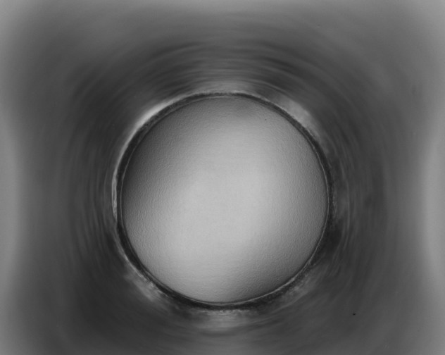 X0000086750988200704201722