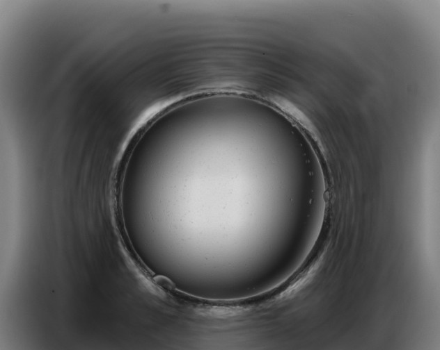 X0000086750989200704201722
